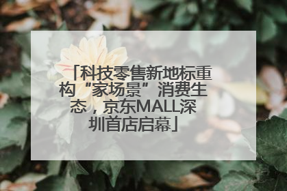 科技零售新地标重构“家场景”消费生态，京东MALL深圳首店启幕