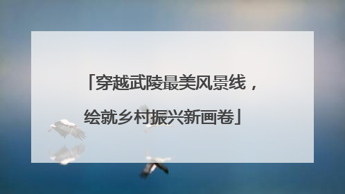 穿越武陵最美风景线，绘就乡村振兴新画卷