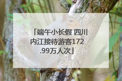 端午小长假 四川内江接待游客172.99万人次