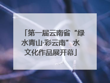 第一届云南省“绿水青山·彩云南”水文化作品展开幕
