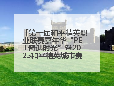 第一届和平精英职业联赛嘉年华“PEL奇遇时光”暨2025和平精英城市赛总决赛盛大启幕