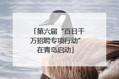 第六届“百日千万招聘专项行动”在青岛启动