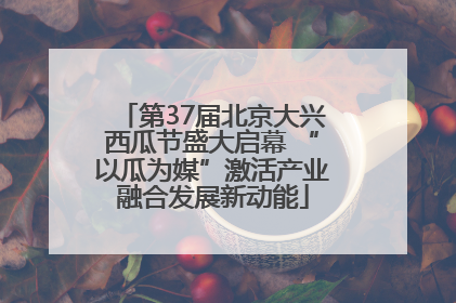 第37届北京大兴西瓜节盛大启幕 “以瓜为媒”激活产业融合发展新动能