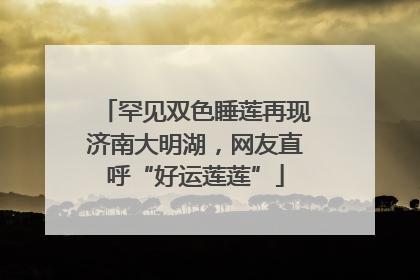 罕见双色睡莲再现济南大明湖，网友直呼“好运莲莲”