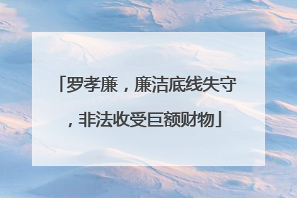 罗孝廉，廉洁底线失守，非法收受巨额财物