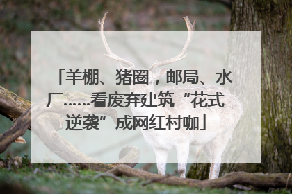羊棚、猪圈，邮局、水厂……看废弃建筑“花式逆袭”成网红村咖