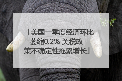 美国一季度经济环比萎缩0.2% 关税政策不确定性拖累增长