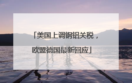 美国上调钢铝关税，欧盟德国最新回应