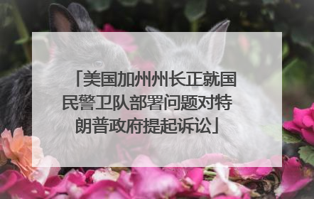 美国加州州长正就国民警卫队部署问题对特朗普政府提起诉讼