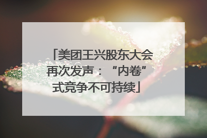 美团王兴股东大会再次发声：“内卷”式竞争不可持续