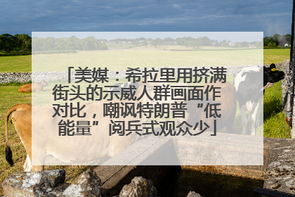 美媒：希拉里用挤满街头的示威人群画面作对比，嘲讽特朗普“低能量”阅兵式观众少