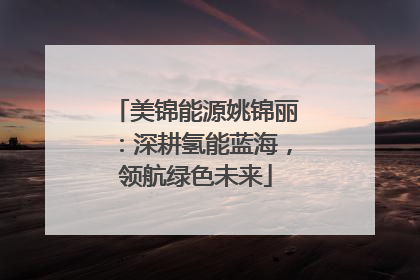 美锦能源姚锦丽：深耕氢能蓝海，领航绿色未来