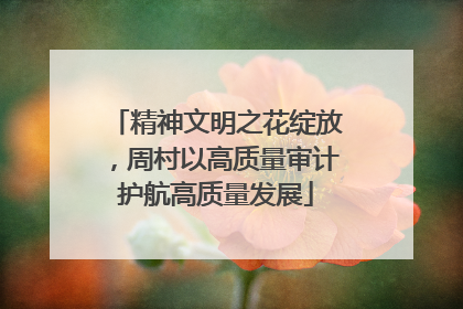 精神文明之花绽放，周村以高质量审计护航高质量发展