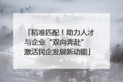 精准匹配！助力人才与企业“双向奔赴” 激活民企发展新动能