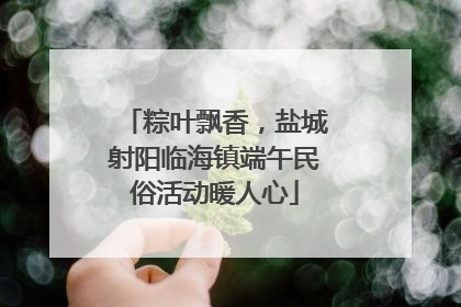 粽叶飘香，盐城射阳临海镇端午民俗活动暖人心