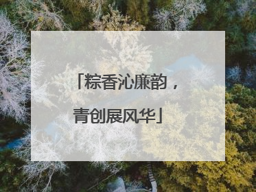 粽香沁廉韵，青创展风华