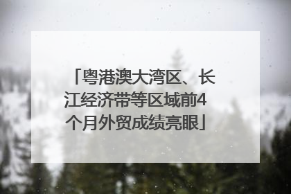 粤港澳大湾区、长江经济带等区域前4个月外贸成绩亮眼