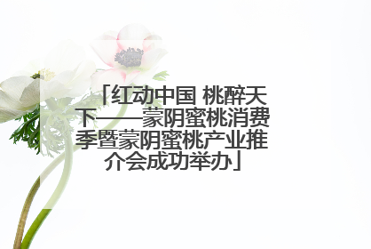 红动中国 桃醉天下——蒙阴蜜桃消费季暨蒙阴蜜桃产业推介会成功举办