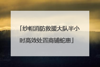 纱帽消防救援大队半小时高效处置商铺蛇患