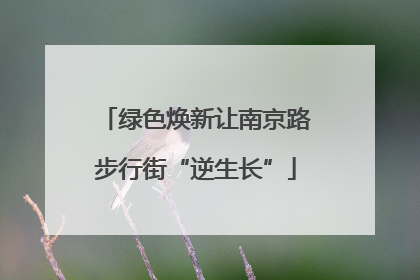 绿色焕新让南京路步行街“逆生长”