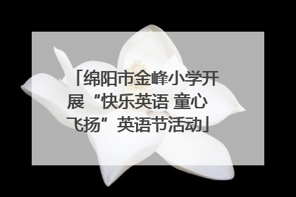 绵阳市金峰小学开展“快乐英语 童心飞扬”英语节活动