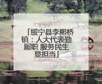 绥宁县李熙桥镇：人大代表勤履职 服务民生显担当