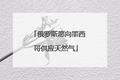 俄罗斯愿向墨西哥供应天然气