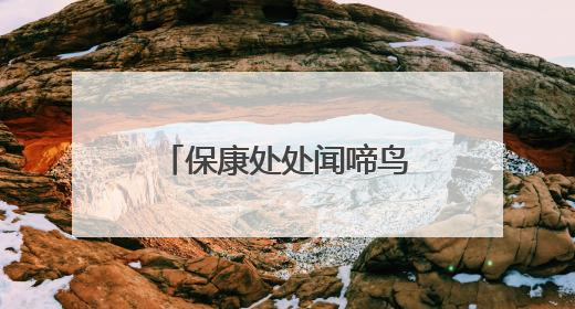 保康处处闻啼鸟！五道峡国家级自然保护区新增鸟类记录23种