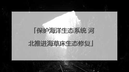 保护海洋生态系统 河北推进海草床生态修复