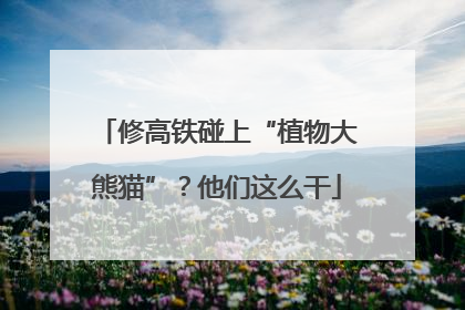 修高铁碰上“植物大熊猫”？他们这么干