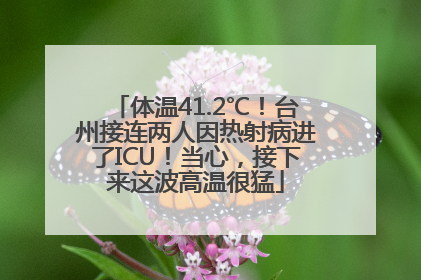 体温41.2℃！台州接连两人因热射病进了ICU！当心，接下来这波高温很猛
