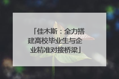 佳木斯：全力搭建高校毕业生与企业精准对接桥梁