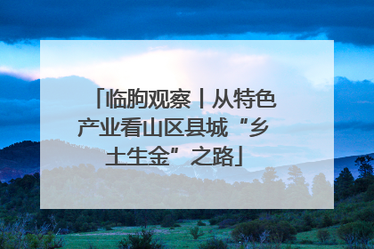 临朐观察丨从特色产业看山区县城“乡土生金”之路