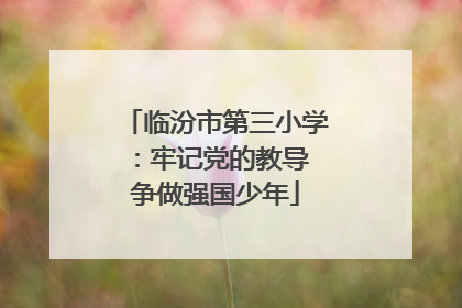 临汾市第三小学：牢记党的教导 争做强国少年
