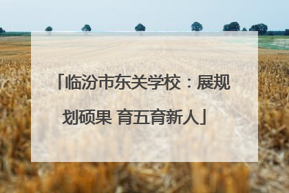 临汾市东关学校：展规划硕果 育五育新人