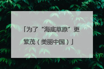为了“海底草原”更繁茂（美丽中国）