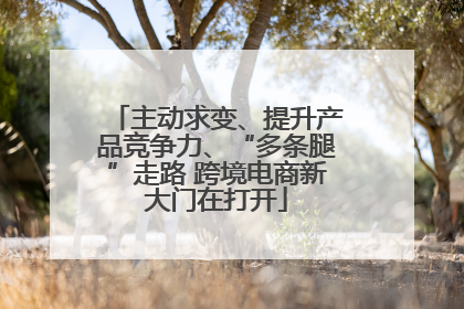主动求变、提升产品竞争力、“多条腿”走路 跨境电商新大门在打开