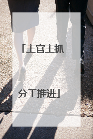 主官主抓 分工推进