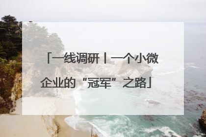 一线调研丨一个小微企业的“冠军”之路