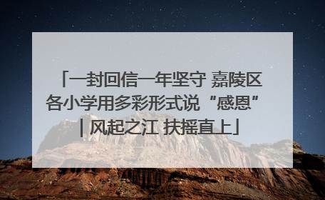 一封回信一年坚守 嘉陵区各小学用多彩形式说“感恩”｜风起之江 扶摇直上