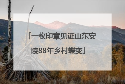 一枚印章见证山东安陵88年乡村蝶变
