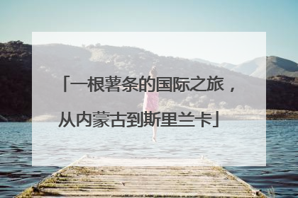 一根薯条的国际之旅，从内蒙古到斯里兰卡