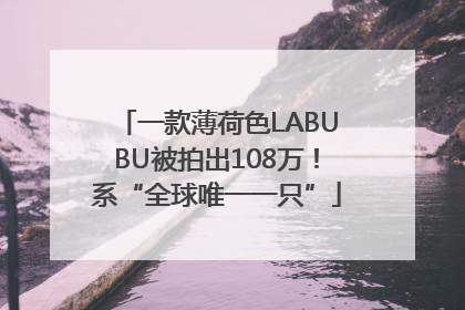 一款薄荷色LABUBU被拍出108万！系“全球唯一一只”