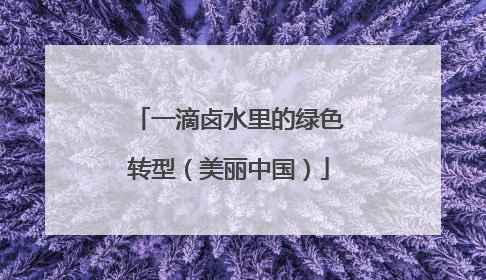 一滴卤水里的绿色转型（美丽中国）