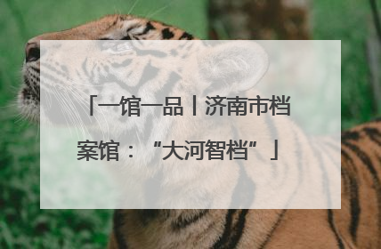 一馆一品丨济南市档案馆：“大河智档”