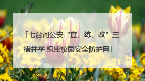 七台河公安“查、练、改”三措并举 织密校园安全防护网