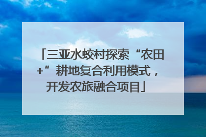 三亚水蛟村探索“农田+”耕地复合利用模式，开发农旅融合项目