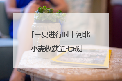 三夏进行时丨河北小麦收获近七成