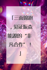 三面锦旗，见证振森能源的“非凡合作”！