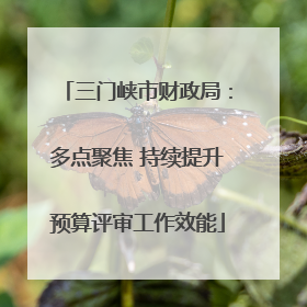 三门峡市财政局：多点聚焦 持续提升预算评审工作效能